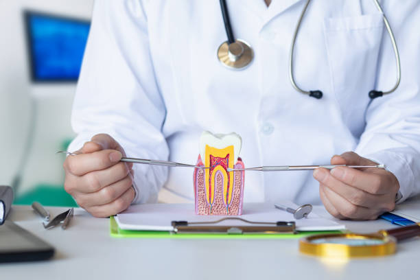 Best Knocked-Out Tooth Emergency  in , ID